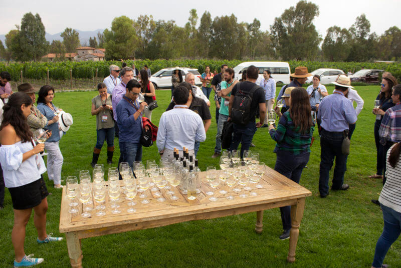 Tour-viñedos-guanajuato