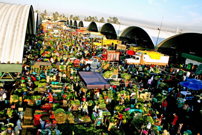 La Central De Abasto De La Ciudad De México (Ceda) Es Un Mundo Dentro De Una Ciudad. Este Nodo Neurálgico De La Cadena Agroalimentaria Del País, Se Ha Planteado El Reto De Ser Cada Vez Más Sostenible. Para Ello, Tiene Ya Una Planta Productora De Biodiésel, Un Centro De Acopio Y Recuperación De Alimentos Y Se Espera Que Este Año Comience A Operar Su Planta De Energía Solar. Es El Mercado Más Grande Del Mundo. La Ceda Cumplió 40 Años El Pasado 22 De Noviembre Y Se Celebraron Como Corresponde: Con Música, Bailes, Funciones De Lucha Libre, Un Billete De La Lotería Nacional Conmemorativo Y Trabajo, Mucho Trabajo. En Las 327 Hectáreas De Su Superficie Prácticamente No Hay Descanso. “Sólo Cerramos De Las Seis De La Tarde A Las 10 De La Noche Para Barrer Y Limpiar”, Dice Marcela Villegas, Coordinadora General De La Ceda De La Ciudad De México. Todos Los Días, La Ceda Comercializa De 30 A 45 Mil Toneladas De Alimentos, Recibe 500 Mil Visitantes Y Da Trabajo A Más De 90 Mil Personas. En Sus Arterias Circulan A Diario 55 Mil Vehículos. “¡Es Un Mundo!”, Dimensiona Villegas. En 2020, Se Inauguró Su Planta Productora De Biodiésel Con Una Capacidad Instalada De 20 Mil Litros De Aceite Vegetal Usado, La Materia Prima Para Generar El Combustible. La Producción Diaria Es De Unos Mil 500 Litros De Este Bioaditivo Que Utilizan El Metrobús Y Los Camiones RTP (Red De Transporte De Pasajeros) De La CDMX. También En Ese Año, La Ceda Instauró Su Centro De Acopio Y Recuperación De Alimentos (mejor Conocido Como Itacate) Que Rescata 270 Toneladas De Alimento Al Día Para Donarlos. En Cuanto A Los Alimentos Que Ya Están En Descomposición, También Hay Proyectos: Este Año Se Pondrá En Marcha Un Biodigestor Que Procesará 50 Toneladas De Residuos Orgánicos Cada Día Para Obtener Biofertilizante. Para Mediados De Este Año Se Espera Que Entre Por Completo En Operación La Planta De Energía Solar De La Central De Abasto. Los Paneles Fotovoltaicos Instalados En Los Techos De Las Bodegas De Abarrotes, Frutas Y Verduras Generarán El 30% Del Consumo Total De Electricidad De La Ceda. “Hemos Logrado Transformar La Central De Abastos Radicalmente”, Asegura Marcela Villegas. La Coordinadora De La Ceda Nos Habla Sobre Su Camino A La Sostenibilidad Y De Otros Retos En Su Operación Que Tampoco Son Menores, Como La Informalidad Y La Enorme Cantidad De Dinero Que Se Mueve En Sus Pasillos Y Bodegas. Con Las Actuales Condiciones Y Dimensiones De La Ceda, Si Nada Cambiara, ¿hasta Cuándo Habría Abasto Garantizado De Alimentos? Habrá Abasto Por El Tiempo Que Sea. Mientras El Campo Exista, La Central De Abastos Seguirá Funcionando. El Campo Es Nuestro Principal Proveedor Y Nunca Para De Producir. La Central De Abastos Tampoco Puede Darse El Lujo De Detenerse. Seguiremos Proveyendo A La Ciudad De México Y Al País. ¿Qué Proyectos De Crecimiento Existen Para Satisfacer La Demanda De Alimentos De Cada Vez Más Personas? La Central De Abastos Ya No Puede Crecer Más, Pero Buscamos Otras Alternativas, Como La Central De Abastos A Domicilio Que Se Desarrolló Durante La Pandemia, Convenios Con Diferentes Mercados Públicos, Tianguis, Tiendas De Autoservicio. Buscamos Opciones Para Que La Central De Abasto Vaya A Otros Lados Y Llegue A Más Personas. También Tenemos Las Ferias Del Bienestar Donde Llevamos Productos, A Precios De La Central, A 20 Puntos De La Ciudad De México. ¿Aún Está En Funcionamiento Esta Página De La Ceda Para Entrega De Alimentos A Negocios O A Domicilio (https://www.cedadomicilio.com)? ¿Qué Experiencias O Aprendizajes Han Tenido? Así Es, Ahí Pueden Ver Todos Los Comercios Que Están Inscritos En El Programa. La Experiencia Ha Sido Muy Buena Porque Nos Ayudó Mucho En La Pandemia Y Nuestros Clientes Aceptaron Bien Esta Nueva Forma De Comprar. Para Los Comerciantes Sí Fue Un Gran Cambio Porque Aquí El Comercio Es Muy Tradicional. Pero Poco A Poco Se Han Ido Adaptando A Esta Necesidad Del Mercado Actual. ¿Qué Tan Solicitado Es Este Servicio Ahora? ¿Puede Evolucionar? No Es Tan Solicitado. La Gente Prefiere Hacer Su Compra Directamente. A La Gente Le Gusta Ver, Oler Y Escoger Su Fruta. Checar La Calidad De Los Alimentos. Las Ventas En La Página Son Para Un Determinado Sector. La Central De Abastos Tiene Que Llegar A Todos Los Sectores. Crear Una Aplicación, Por Ejemplo, Requiere Una Buena Inversión Y Quizá Tendríamos Que Vender Más Caro. La Central De Abastos Tiene Que Mantener Sus Buenos Precios. La Estrategia Se Centra Ahora En Acercar De Otra Manera La Central De Abastos A La Comunidad, Como Lo Hacemos Con Las Ferias Del Bienestar. ¿Qué Cantidad De Alimento Se Desecha A Diario Dentro De La CEDA? Para Eso Tenemos El Programa Llamado Itacate. Recuperamos A Diario 270 Toneladas De Alimento Que Iban A La Basura, Pero Ahora Se Donan Al Programa De Comedores Sociales De La Ciudad De México. Hemos Impulsado La Cultura Del No Desperdicio En La Central De Abastos. Cada Día, Salen Unas 8 Mil Toneladas De Alimentos Orgánicos, Pero Muchos De Ellos Ya Están Contaminados. Antes, Todo Eso Se Tiraba A La Basura. Ahora, Con Itacate Rescatamos Esas 270 Toneladas. Poco A Poco, Los Comerciantes Donan Más. La Comunidad De La Central De Abastos Es Muy Solidaría Para Ese Tipo De Iniciativas. ¿Qué Hace Falta Para Que Entre En Operación Su Biodigestor? Estamos En Fase De Pruebas. Esperamos Que Para Finales De Febrero Ya Esté Funcionando. En Una Primera Etapa Esperamos Obtener Biofertilizante Y Para Una Segunda Etapa Esperamos Obtener Biogás. ¿A Quiénes Se Destinará El Biofertilizante? A Productores Del Campo En Las Alcaldías De La Ciudad De México. ¿Los Resultados De La Planta Que Convierte El Aceite Comestible Quemado En Biodiesel Son Los Que Esperaban? La Cultura De Reciclar El Aceite Quemado Ha Ido Aumentando Poco A Poco Y Eso Nos Ha Permitido Obtener Más Materia Prima. Hay Ya Algunos Vehículos Del Metrobús Que Están Utilizando El Bioaditivo Con Excelentes Resultados. Se Ha Avanzado En Las Dos Partes Importantes: Que El Aceite Usado No Vaya Al Drenaje Y Lograr Que Los Vehículos Sean Más Eficientes Y Menos Contaminantes. ¿Hay Suficiente Recaudación De Este Aceite? ¿Por Qué No Se Ha Alcanzado Un Acuerdo Con La Industria Restaurantera Para Hacerse De Su Aceite Usado? Necesitamos Todavía Más. Pero Más Que Necesitar La Materia Prima Para Crear El Biodiesel, Necesitamos Que Cada Vez Más Personas Entiendan Que Ese Aceite No Debe Ir A Parar Al Drenaje. Hemos Hablado Con Los Restauranteros, Pero Muchos Ya Tienen Contratos Con Empresas Que Les Compran El Aceite. Nosotros No Lo Compramos, A Nosotros Nos Donan El Aceite. Los Restaurantes Son Los Que Deciden Qué Hacer Con Su Aceite. Sabemos Que La Ceda Se Maneja A Través De Un Fideicomiso Que Ya Tiene Muy Bien Definidos A Sus Permisionarios, Pero ¿es Posible Todavía Hacerse De Una Bodega O Local Comercial En La Ceda? Sólo Que Alguno De Los Comerciantes Ceda Sus Derechos A Otra Persona. Ya No Hay Bodegas Para Asignar. La única Manera Es Que Uno De Los Comerciantes Quiera Hacer Una Cesión Temporal, Por Un Mes, Un Año O Más, O Una Cesión Definitiva De Su Bodega. ¿Qué Requisitos Se Necesitan Para Un Movimiento De Ese Tipo? Se Tiene Que Acercar Al área Jurídica Del Fideicomiso. Pertenecemos A La Secretaría De Desarrollo Económico De La Ciudad De México. Todo Se Hace A Través Del Gobierno Y Se Deben Seguir Sus Procesos. ¿Nos Puedes Confirmar Que El Dato De Que El Valor De Operación De La CEDA Asciende Aproximadamente A 9 Mil Millones De Dólares Anualmente? Sí, O Sea, No Podemos Dar Un Monto Exacto Porque La Mayor Parte De Las Transacciones Se Realizan En Efectivo. Lo Que Sí Podemos Decir Es Que, De Acuerdo Con Las Transacciones Que Se Realizan, La Central De Abastos Es El Segundo Mercado, Sólo Detrás De La Bolsa Mexicana De Valores. ¿Cómo Combaten La Informalidad En El Comercio Día A Día En La Ceda? ¿O Es Un Mal Necesario Al Que Es Imposible Poner Límites? Tenemos Vendedores En Andadores, Que Es El Comercio Ambulante, Pero Hay Un Acuerdo En El Comité Técnico Del Fideicomiso Donde Se Estableció Un Número Determinado De Permisos. Los Tenemos Credencializados Y Se Les Controla Dónde Deben De Estar Para Que No Haya Competencia Desleal. Pero En Cuanto Al Nivel De Dinero En Efectivo Que Se Mueve En La Central De Abasto, ¿han Existido Intentos Para Que Formalicen Más Sus Operaciones Y Se Reporten Sus Ingresos? Es Que Es Una Actividad Privada Y Los Comerciantes Saben Cómo Manejarse. Aún Cuando Se Trabajen Con Efectivo, Sí Pueden Estar Formalmente Establecidos, Pero Para Ellos Es Mucho Más Cómodo Manejarse En Efectivo Porque Así Lo Pide La Gente. Hay Sectores, Como El De Abarrotes, Donde Sí Es Más Común La Tarjeta O La Transferencia Electrónica. También A Los Productores Del Campo Se Les Tiene Que Pagar En Efectivo Porque No Manejan Transferencias Bancarias. Todo Viene Así De Origen. Además De Lo Que Han Llevado A Cabo En Los últimos Años, ¿qué Tan Al Tanto Están Sobre Mejores Prácticas En Centrales De Abastos Alrededor Del Mundo? ¿Qué Hace Falta Implementar En La Ceda? Necesitamos Trabajar En Una Planta Tratadora De Agua, Por Ejemplo. Pero Tenemos Que Ir De A Poco. Tenía Más De 20 Años Que No Se Le Movía Nada A La Central De Abasto. Hemos Cambiado Drenajes, Repavimentamos, Tenemos Un Mejor Sistema De Recolección De Basura, Pero Nos Falta Mucho. Ahora El Gran Proyecto Es Trabajar En El Mantenimiento De Las áreas, En La Seguridad, En Ser Cada Vez Más Sustentables Con Estos Proyectos De La Planta De Biodiesel Y El Biodigestor… Poco A Poco. La Central De Abasto De La CDMX Quiere Ser Sostenible. ¿Lo Logrará?