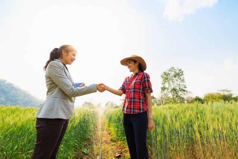 Cerrar Trato En El Campo