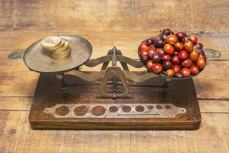 Café Podría Duplicar Su Precio