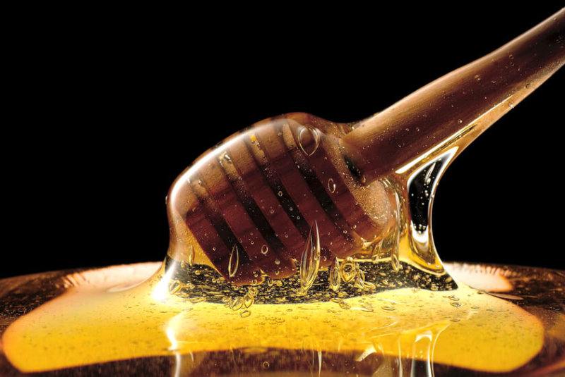 Impulsa BID Apicultura En Yucatán