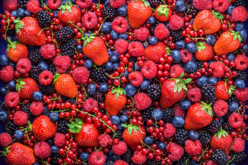 Berries Mexicanas Se Exportan A 38 Países