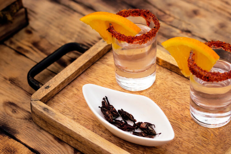 4 Municipos De Sinaloa Consiguen Denominacion De Origen Mezcal