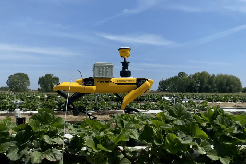 Robot Agricola
