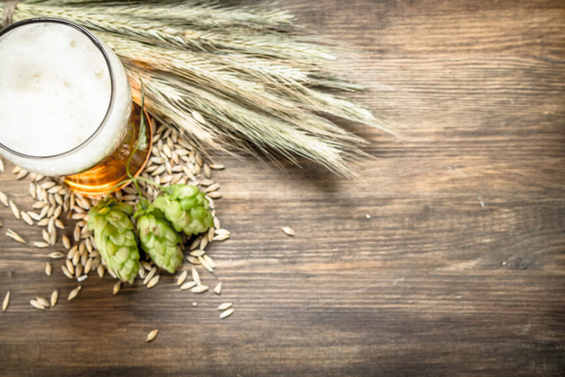 Baja California Abrira Su Propia Maltera