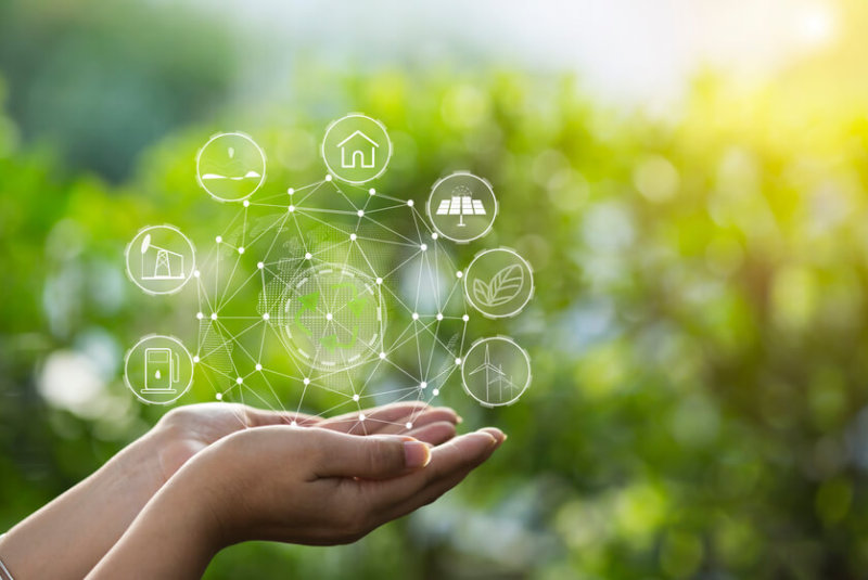 Diseno Ecologico Productivo 1