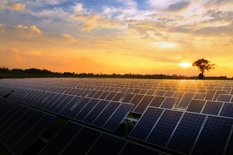 Así Generan Energía Renovable En Planta De Café