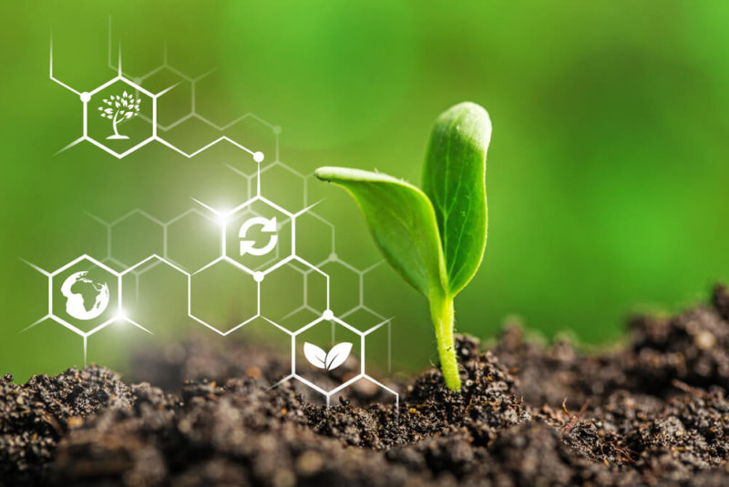 Premiarán Sustentabilidad Y Seguridad Alimentaria