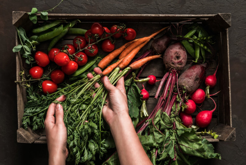 Bayer Apuesta Por Mercado De Orgánicos