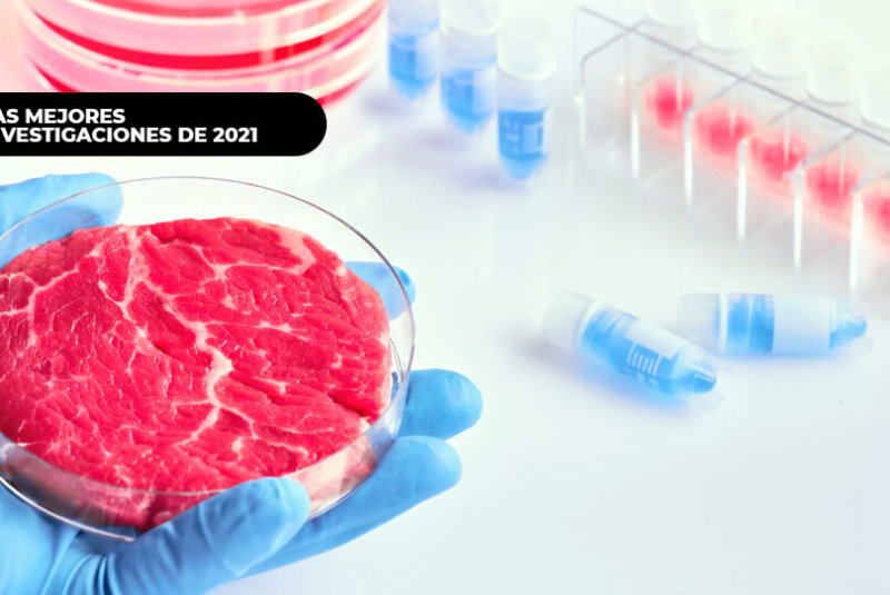 Carne De Laboratorio