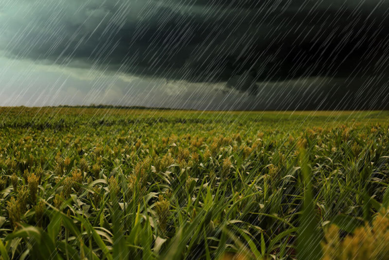 Mitigan Hasta 98% De Sequía Con Estimulación De Lluvias