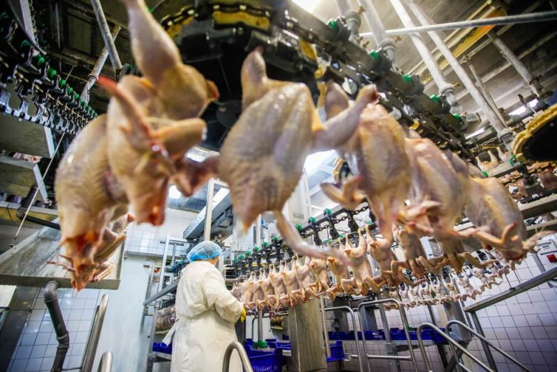 Tyson Foods Apuesta Por Máquinas En Lugar De Mano De Obra