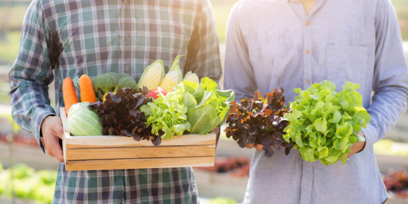 Alimentos Orgánicos