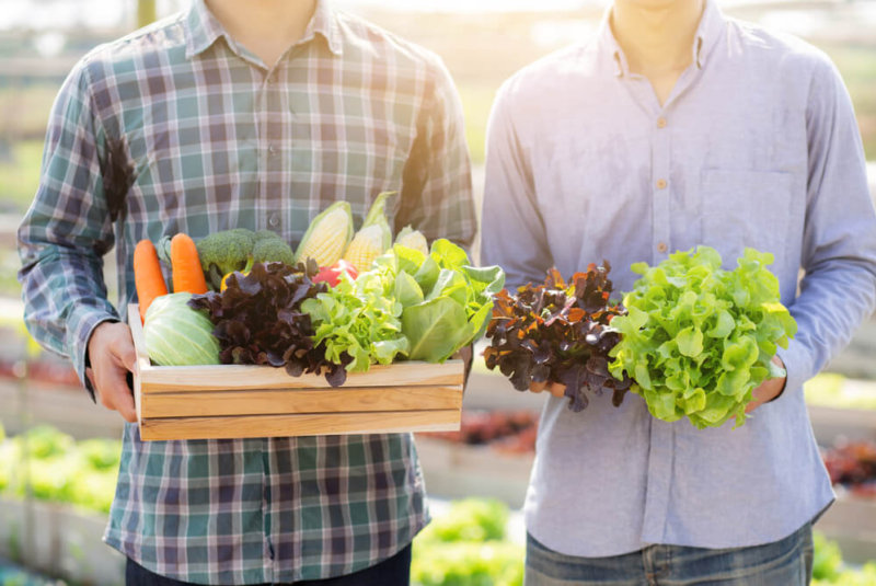 Alimentos Orgánicos
