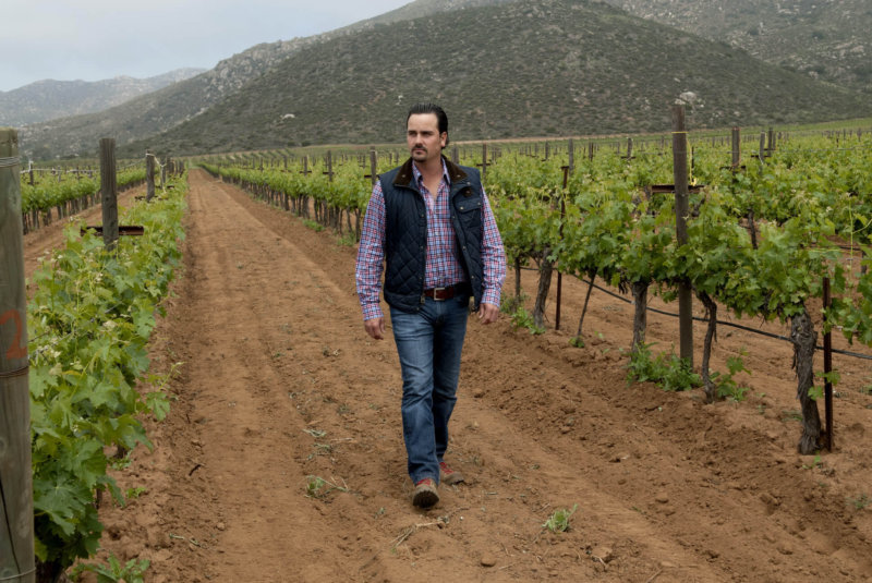 Tenemos El Vino Más Alto En Calidad En Este País, Gracias A Los Mexicanos Backhoff