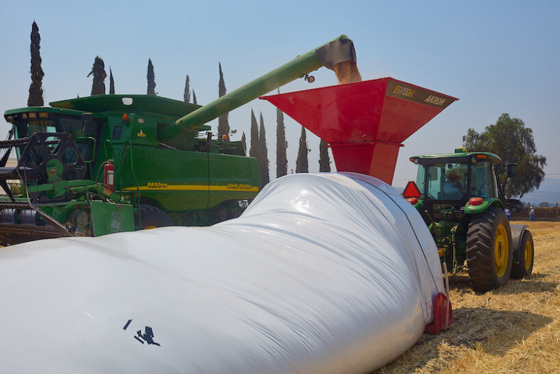 Esta Alternativa Almacena Granos De Manera Segura Y Económica