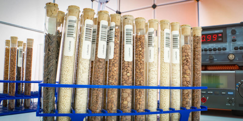 Semillas DelEl Nuevo Banco Colombiano De Germoplasma