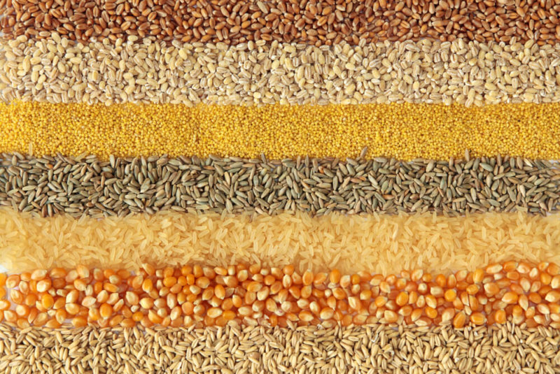 Cómo Impactará La Crisis Mundial De Cereales A Las Empresas Mexicanas