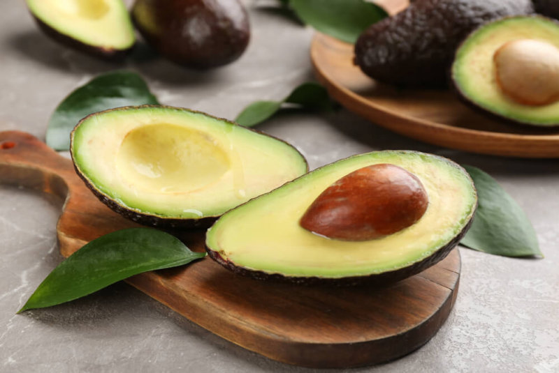 Promueve Sader Siembra De Aguacate En Desierto De Sonora