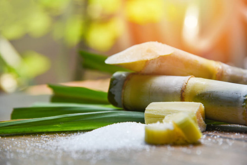 Repunta Producción De Caña De Azúcar En Colombia