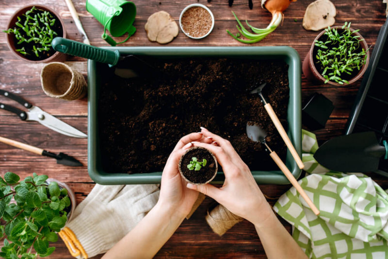 ¿Sueñas Con Tener Tu Propio Huerto? Estas Empresas Te Convierten En Agricultor