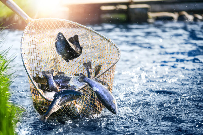 Sader Anuncia Apoyos Para Pesca A Pequeña Escala