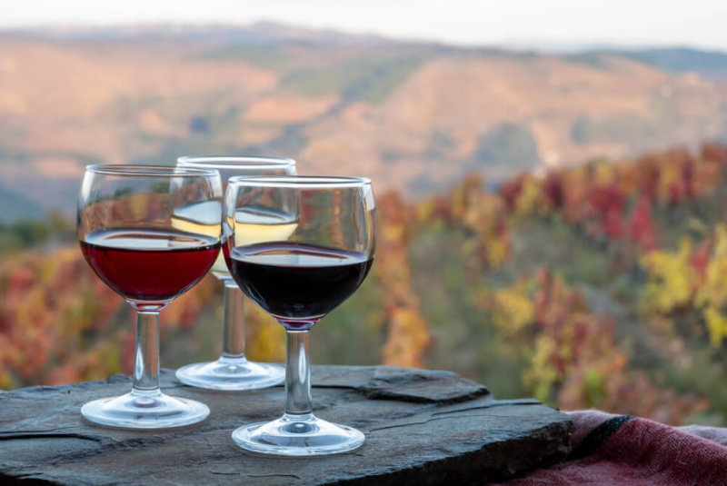 Presentan Programa Del 43º Congreso Mundial De La Viña Y Del Vino