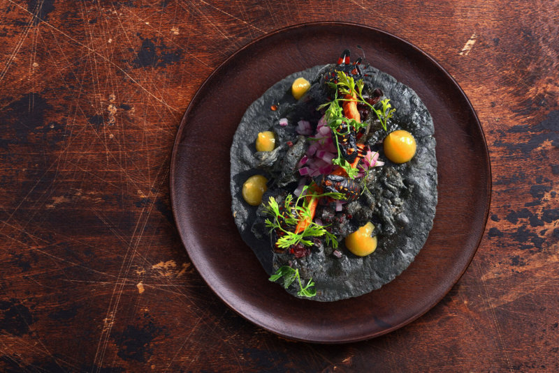 Xamues O Tantarrias: El Insecto Que Es “un Orgasmo Gastronómico” Y Vive En Los Mezquites