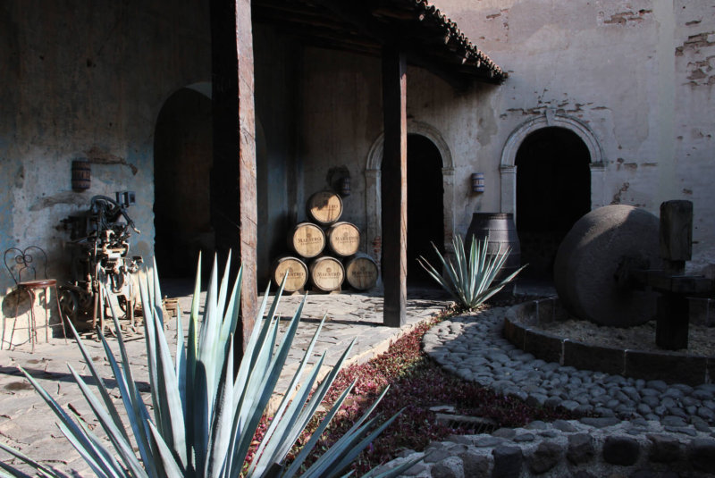 3 Curiosidades Que No Sabías Sobre El Tequila