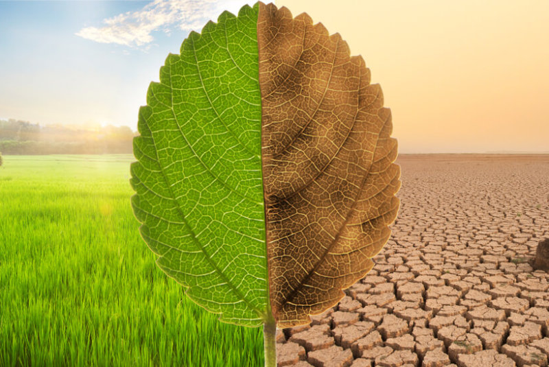 La Sequía En Monterrey Es El Principio Del Fin. ¿Cómo Frenar La Catástrofe?