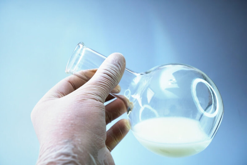 Leche De Laboratorio
