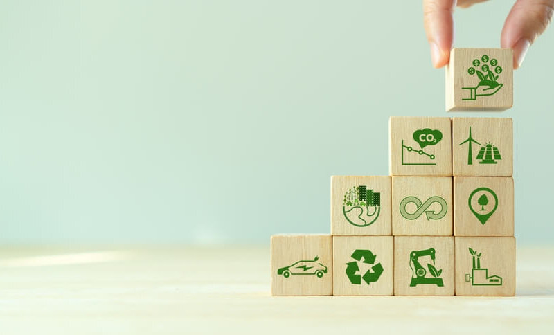 Bonos De Carbono, La Gran Oportunidad Para El Campo Mexicano