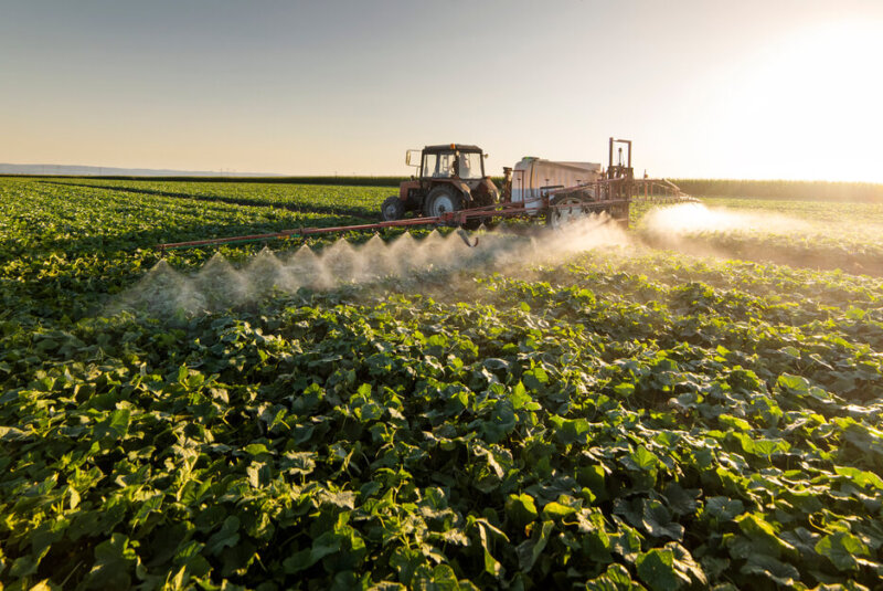 La Polémica Detrás De La Iniciativa De Ley Que Prohíbe Uso De Plaguicidas