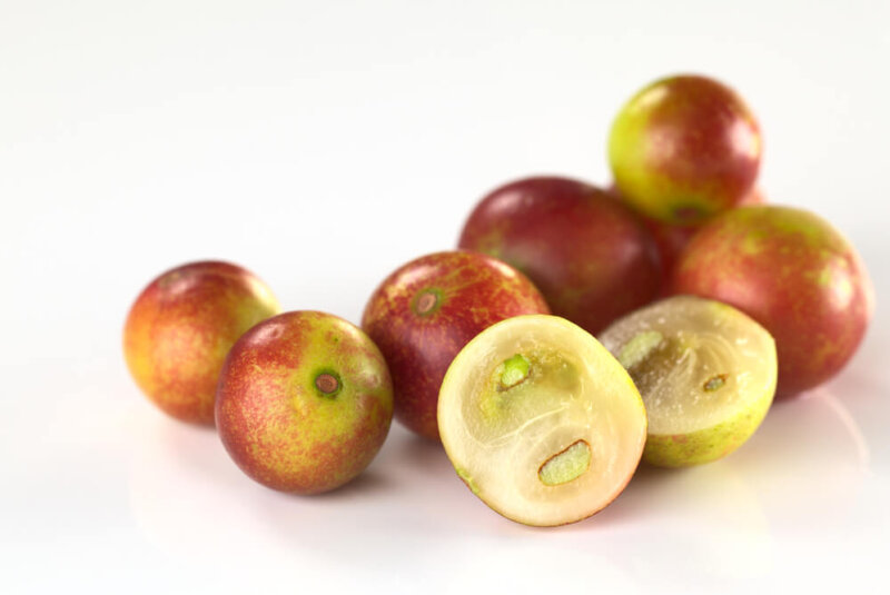 Camu Camu, El Fruto Amazónico Que Colombia No Explota