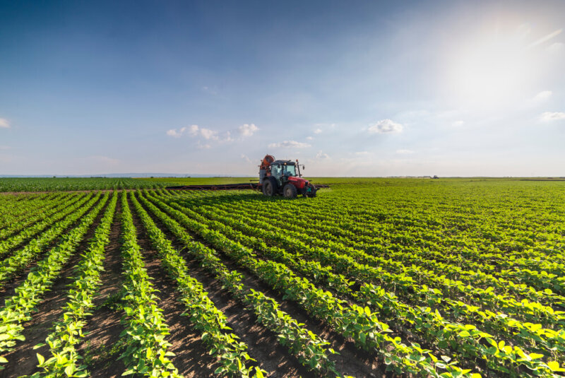 Así Se Recupera El 20% De La Compra De Insumos Agropecuarios En Colombia