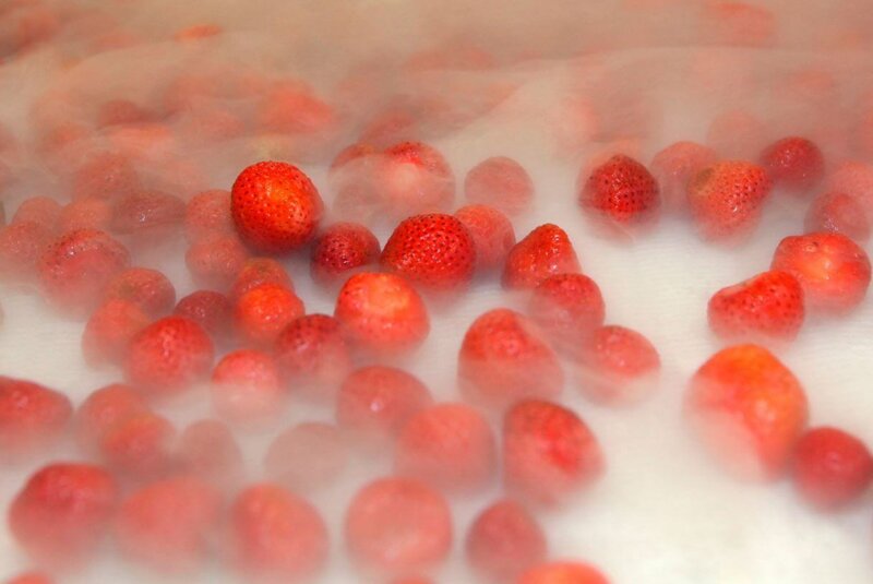 Todo Lo Que Los Exportadores Colombianos Necesitan Saber Sobre La Criogenia