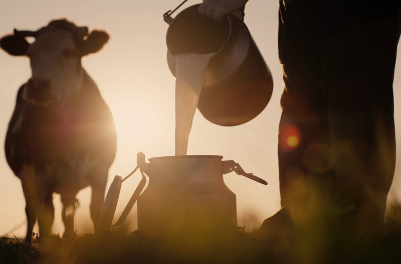 La Leche En Colombia Hoy Es 36% Más Cara