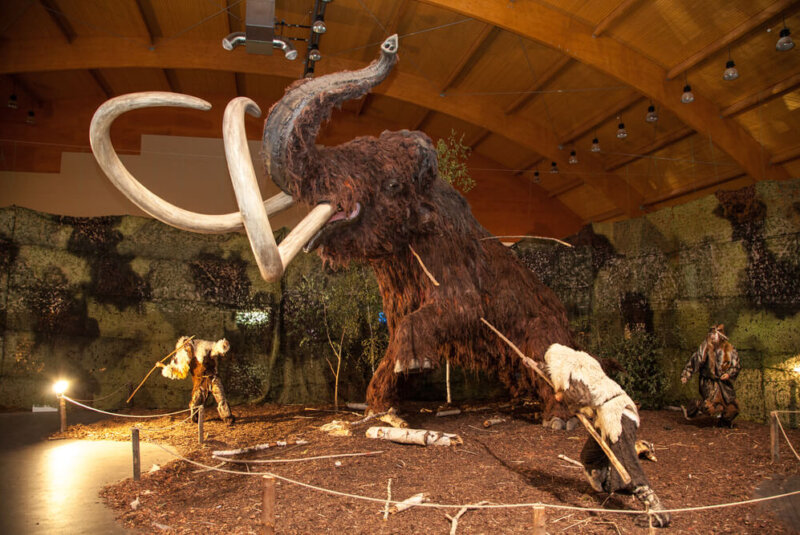 Presentan Albóndiga Hecha Con Carne Cultivada De Mamut