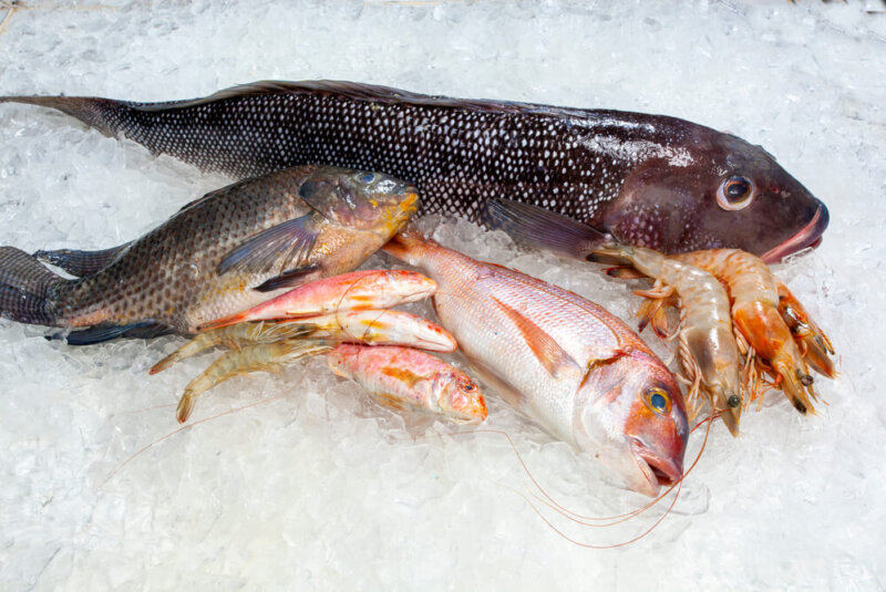 Restaurantes Y Pescaderías Sustituyen 44% De Pescados Por Especies Más Baratas