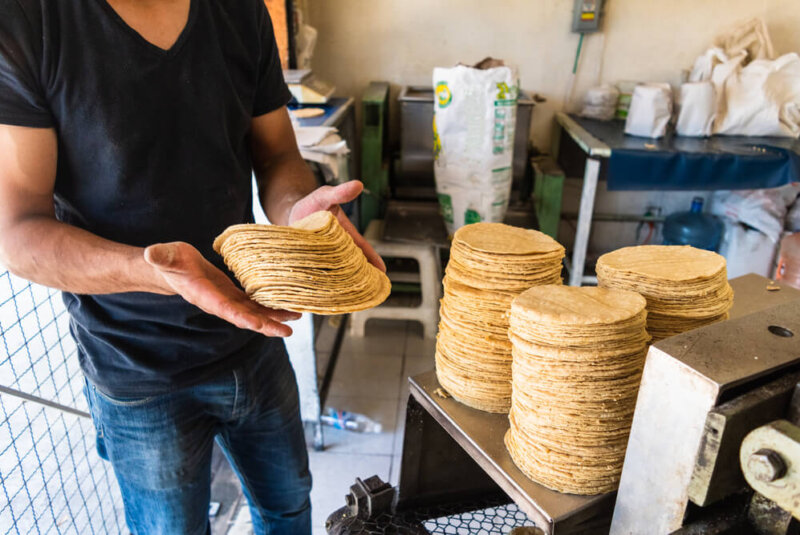 Tortilla Triplicó Su Precio En Tres Años