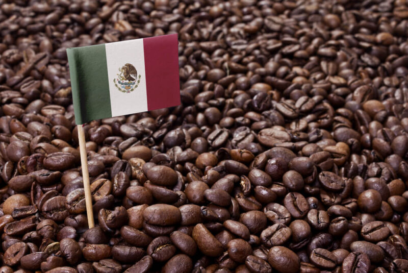 Estas Son Las Razones Por Las Que México Dejó De Exportar La Mitad De Su Café