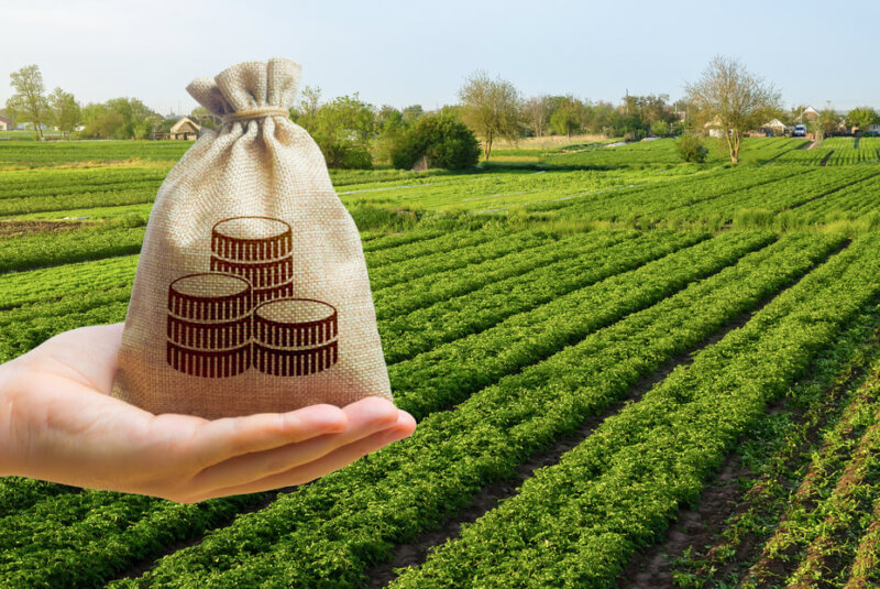 Productores Rurales De Colombia Tendrán Líneas Especiales De Crédito