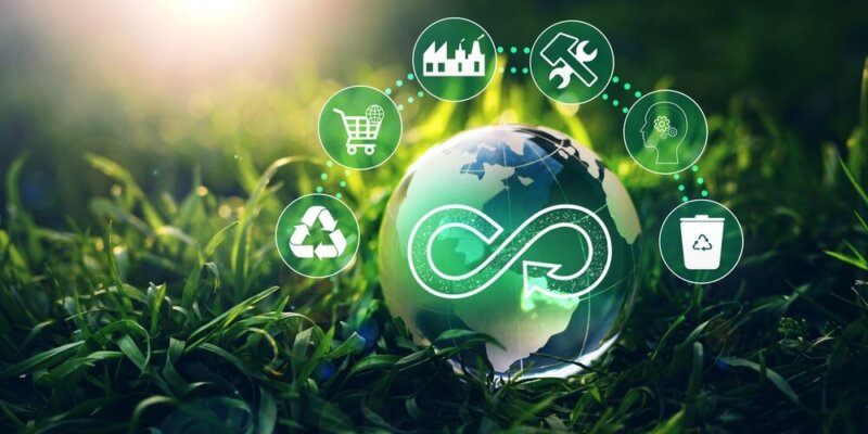 Así Afectará A Envases Y Empaques De Alimentos Y Bebidas La Ley De Economía Circular De La CDMX