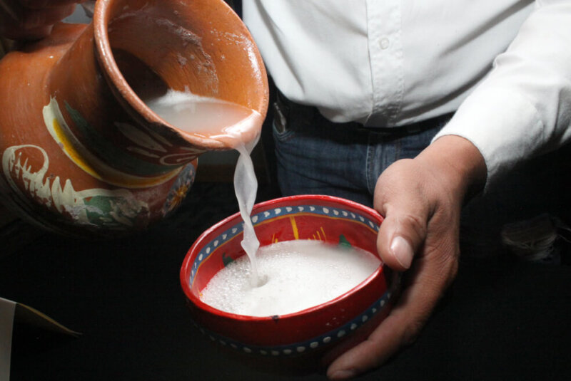 Se Renueva El Consumo De Pulque. ¿Será Su Nueva época Dorada?