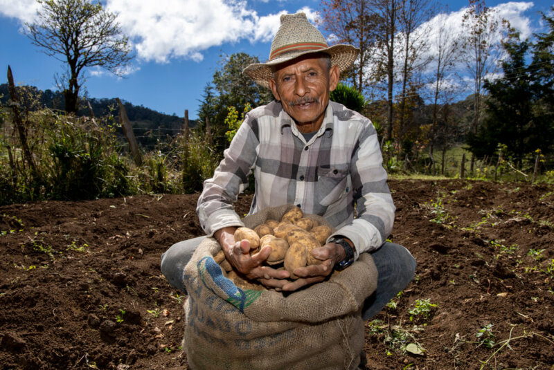 Los Agricultores Mexicanos Envejecen. ¿Quién Cultivará Nuestros Alimentos?