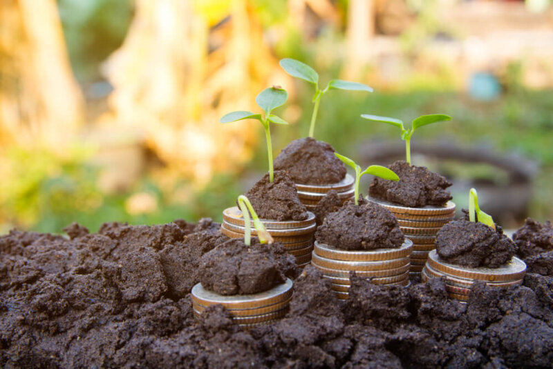 Lanzan En Colombia Financiamiento Para Proyectos Agropecuarios