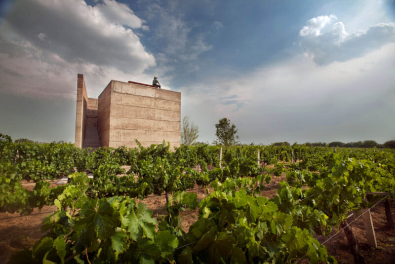 ¿Qué Hizo Muy Bien Guanajuato Para Consolidarse Como Un Destino Enoturístico?