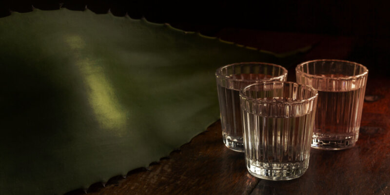 Agave Mezcal