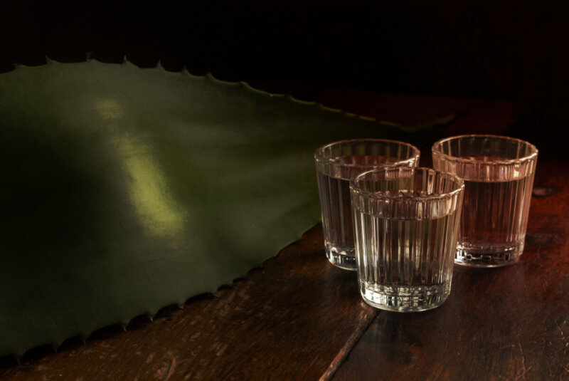 Agave Mezcal