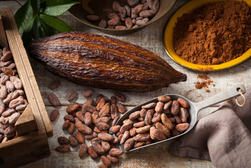En Colombia Están Migrando Los Productores Del Café Al Cacao, ¿qué Está Pasando?